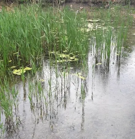 Alojamento de Turismo Rural Dobó Tanya