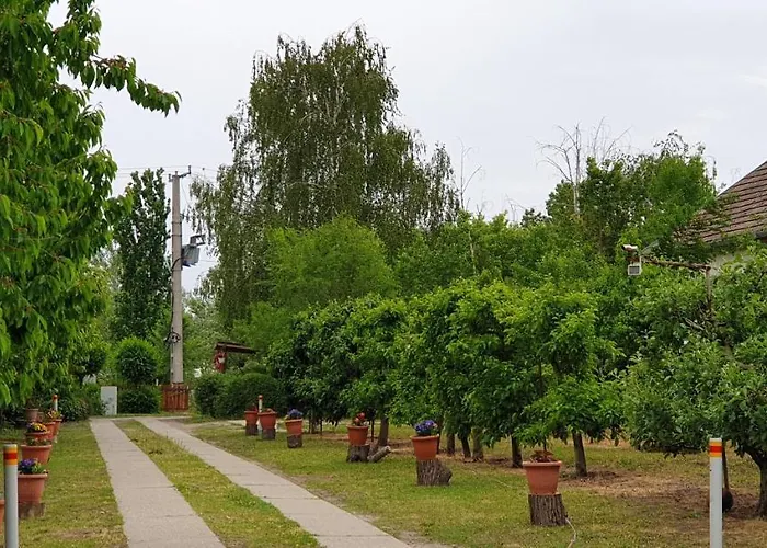 Dobo Tanya Lantgård Roszke